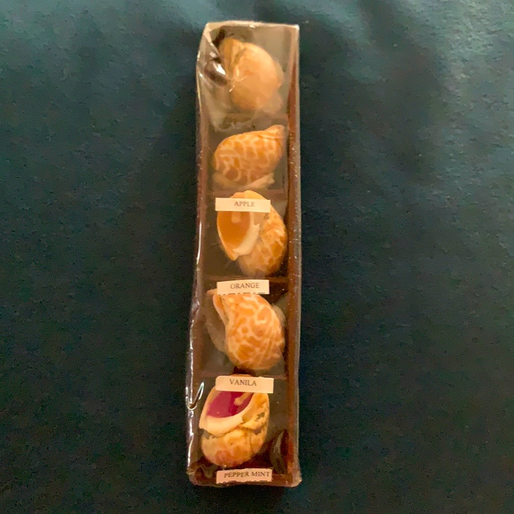 Unique Fragrant shell candle set. NWOT